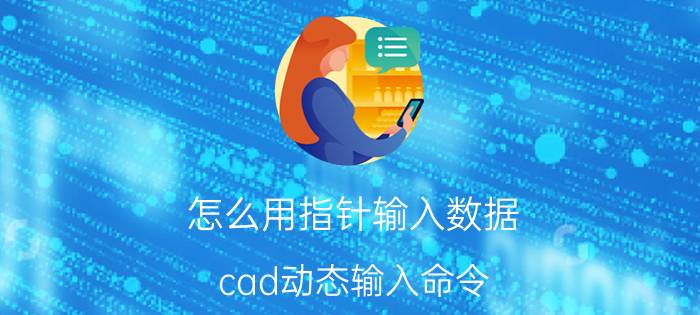 怎么用指针输入数据 cad动态输入命令？